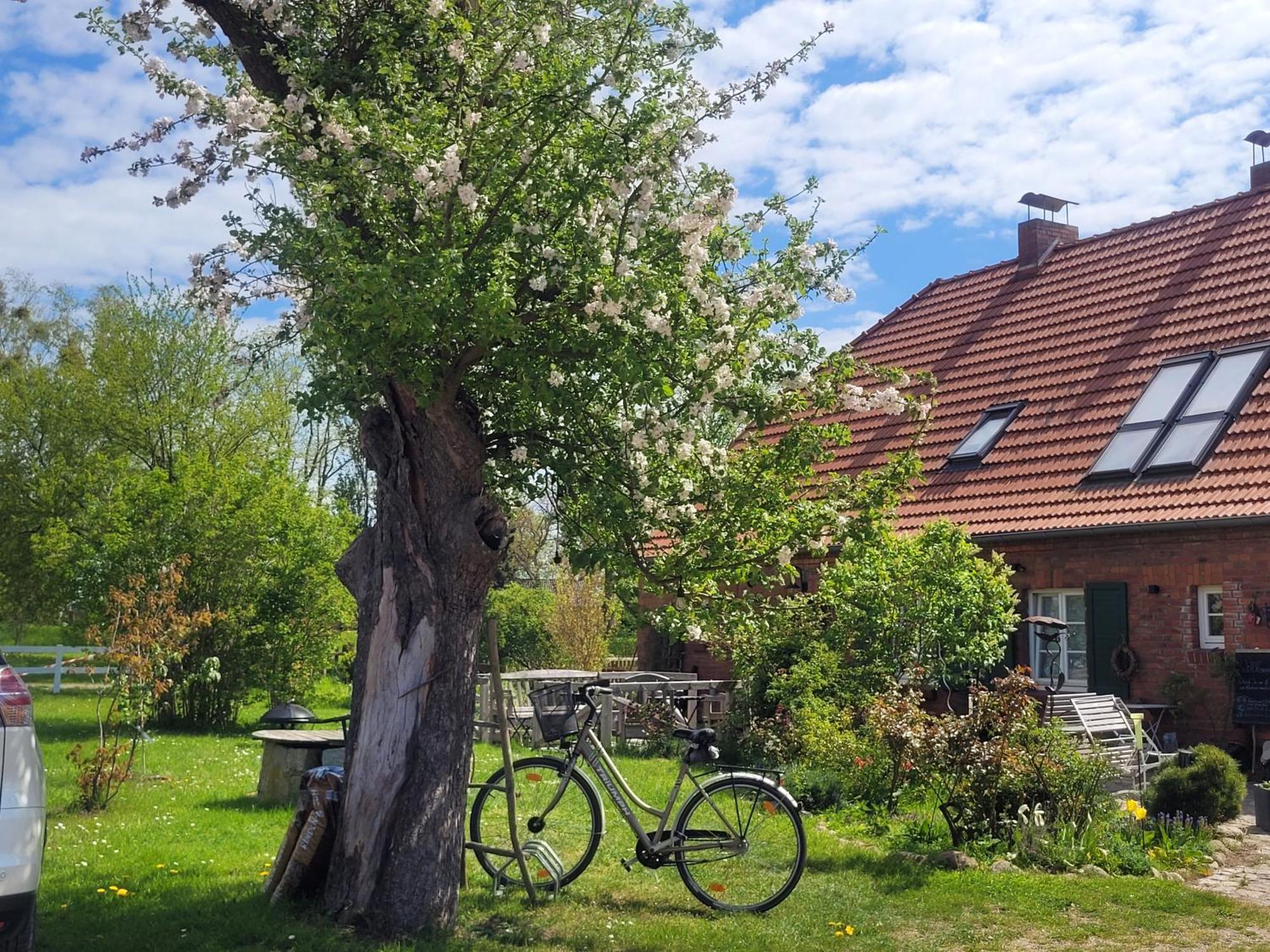 Seminar Und Landhaus Schoenbeck Schonbeck  Exterior photo